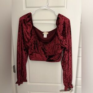 Altar’s State Velevt long sleeve crop top, everything must go